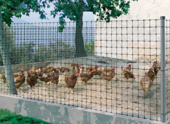 Construcción de casetas avícolas con malla gallinero easy. - Malla