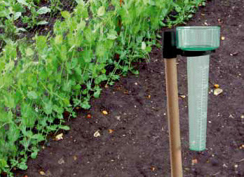 Herramientas para el jardín : termómetro y pluviómetro - Nortene - Nortene