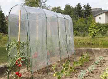 Filme para túnel de tomates