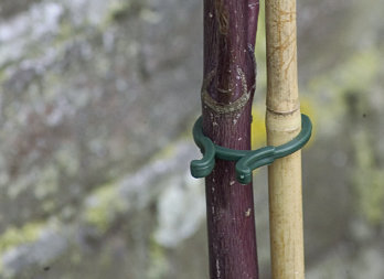 Conjunto de clips para sujetar plantas