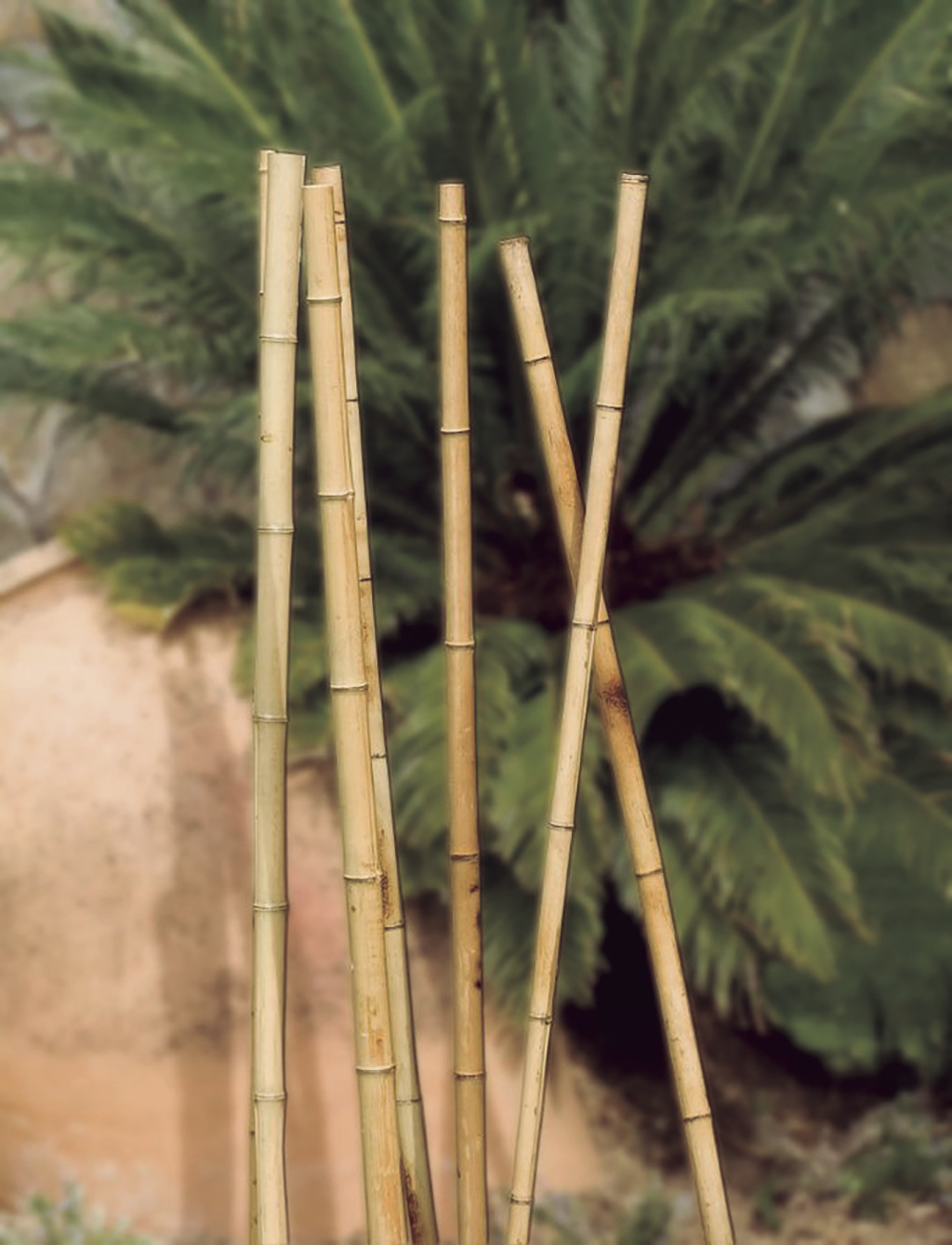 5 ideas para usar tutores de bambú en la decoración de tu hogar